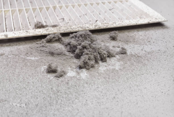 Best Local Air Duct Cleaning Services  in Cadiz, OH